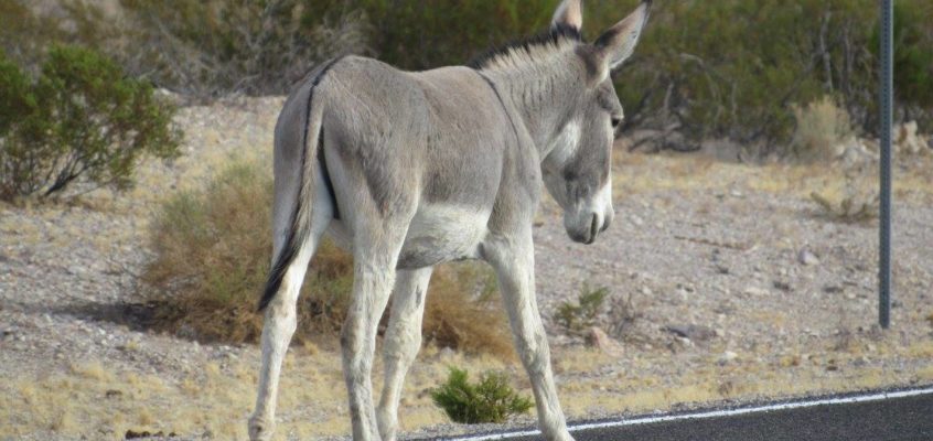 Death Valley National Park