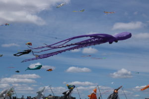 side view of giant purple octopus kite