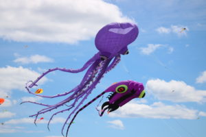 Giant purple octopus kite
