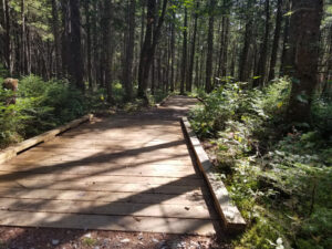 Example of a boardwalk