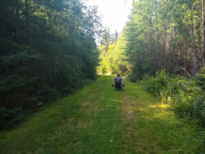 Enock on the grass covered road