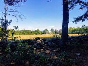 Pcture of viewing area on the Peggys Pasture Loop Trail