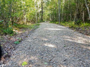 Picture showing the slope of the trail