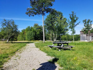 Trail behind house passing by picnic table