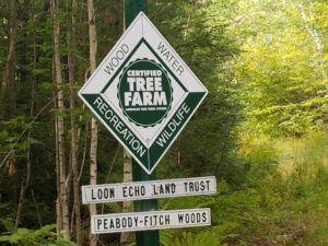 Peabody Fitch Woods Tree Farm Sign